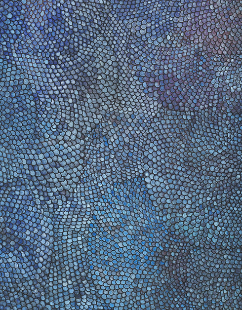 COBALT SCALES | limited edition print