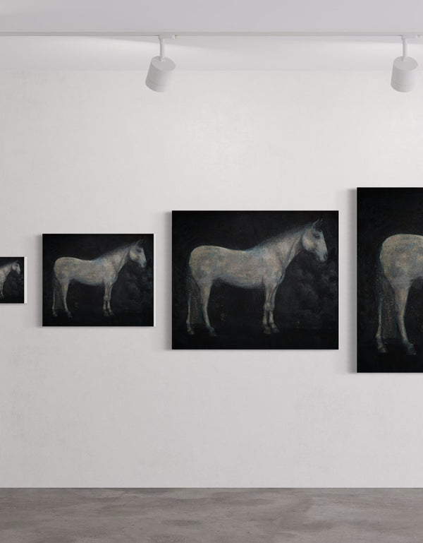 HORSE | framed giclee on canvas print